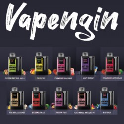 Vapengin 5500 Puffs - 5%